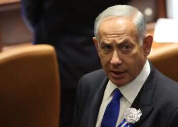 עָלוּ עֲשָׂבִים