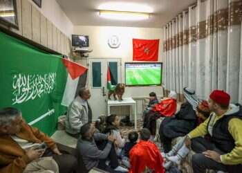 קללות לישראלים ודגלי אש"ף ביציעים: הפלסטינים מרגישים שהם המנצחים של המונדיאל