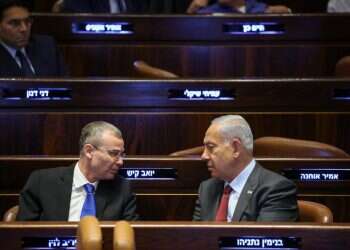 זו פוליטיקה, טמבל: המאבק הנוכחי לא קשור בכלל לערכי הדמוקרטיה