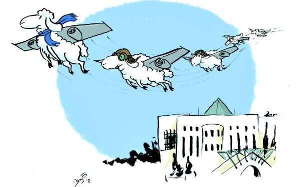 איור: שי צ'רקה