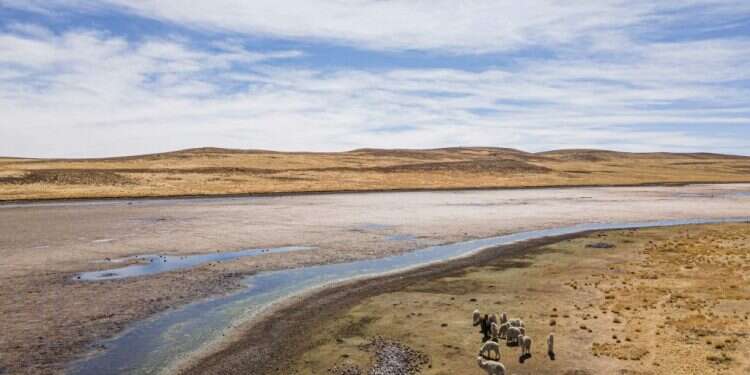 התחממות קלה, אין גשם באופק: תחזית מזג האוויר