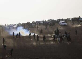 "אומר לי בדואי: 'עם הרחם של האישה הערבית והדמוקרטיה שלכם – אני מנצח'. והוא צודק"