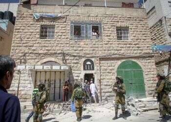 פעילות של צה