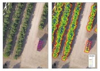 משרד המשפטים יוזם הסדרת חקיקה בשוק הבינה המלאכותית