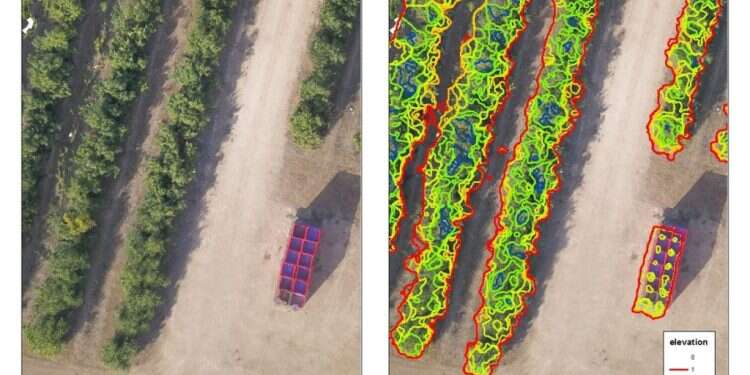 משרד המשפטים יוזם הסדרת חקיקה בשוק הבינה המלאכותית