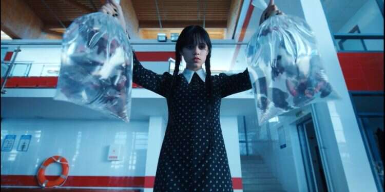 הצפייה ב"וונסדיי" החזירה אותי לימים האבודים והנוסטלגיים בפנימייה