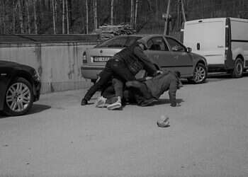 צילום: שאטרסטוק הולכים מכות