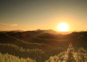 מי אמר" זהו שחר של יום חדש", ועוד תשע שאלות על זריחות: הטריוויה השבועית