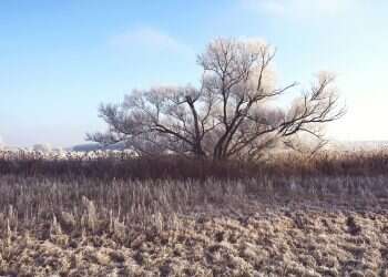 קר אבל יבש, הגשם לא מגיע: תחזית מזג האוויר