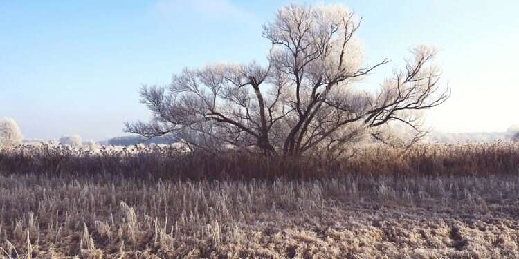יבש. צילום: שאטרסטוק קר אבל יבש, הגשם לא מגיע: תחזית מזג האוויר
