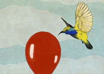 איור: שרון ארדיטי