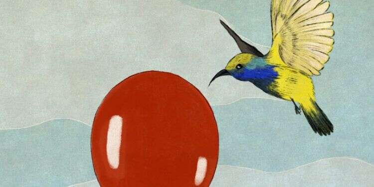 איור: שרון ארדיטי