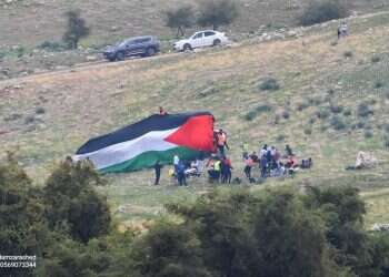 ההשתלטות על שטחי C נמשכת: פלסטינים נטעו עצים על עשרות דונמים סמוך לירושלים