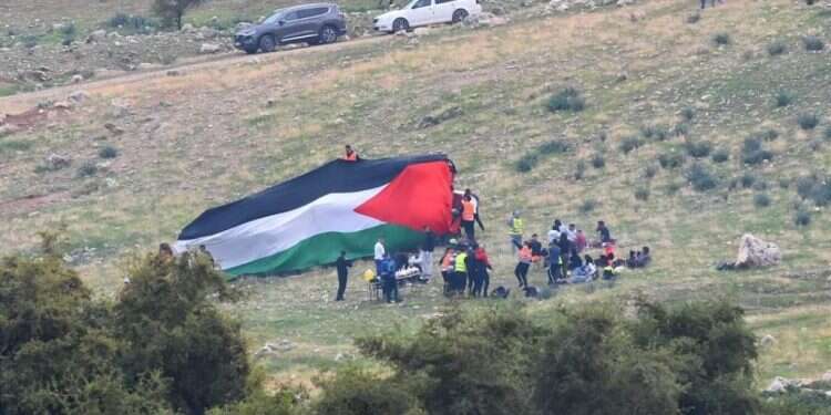 ניסיון השתלטות על השטח סמוך לאדם. ארכיון. צילום: מאבק על כל דונם ההשתלטות על שטחי C נמשכת: פלסטינים נטעו עצים על עשרות דונמים סמוך לירושלים