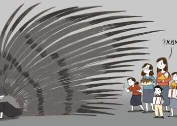 איור: רעות בורץ