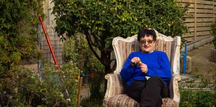 חווה שיק. צילום: ברוך גרינברג