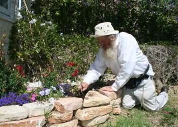 כמה פולי קקאו דרושים להכנת קילו אחד של שוקולד?