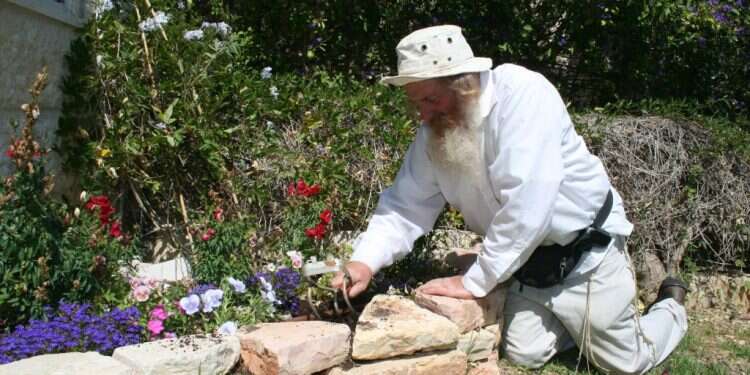 כמה פולי קקאו דרושים להכנת קילו אחד של שוקולד?