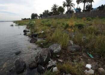 הכנרת בשפל, ארכיון. צילום: גילי יערי, פלאש 90 אחד מחמשת החורפים השחונים בהיסטוריה: איך מתמודדים עם המחסור בגשם?