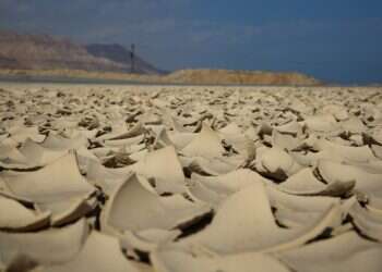 קיץ באמצע החורף: יבש וחם מהרגיל לפחות עד שבת | תחזית מזג האוויר