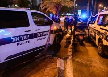 ניידת משטרה