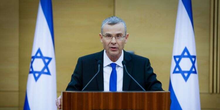 "שמח ששר המשפטים התייעץ איתנו": האיש שמאחורי הרפורמה המשפטית מדבר