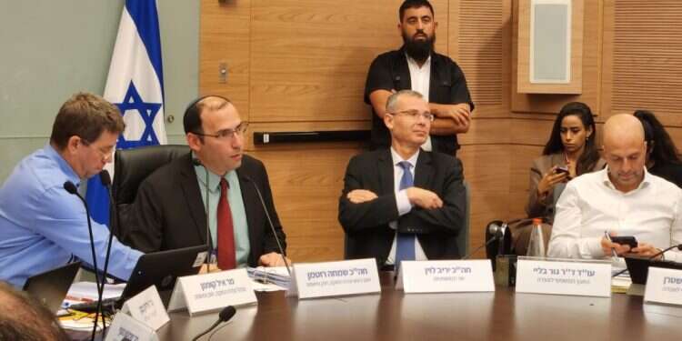 ועדת החוקה, צילום: עטרה גרמן יריב לוין: "אמרו לי: במשרד המשפטים אין עציצים, למה? כי השר הוא העציץ"