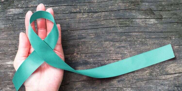 צילום: שאטרסטוק סרטן צוואר הרחם: המחלה שניתן למנוע ואף למגר