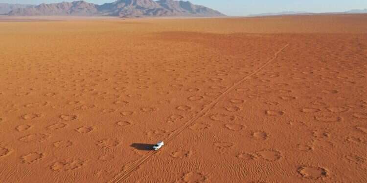 דפוס מתמטי אינטליגנטי. מדבר נמיב המזרחי. צילום: באדיבות סטפן גדסין, הוושינגטון פוסט