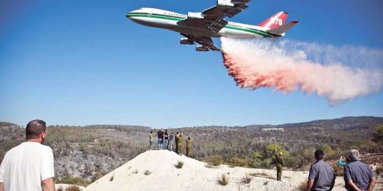 צילום: אריק סולטן צילום: אריק סולטן