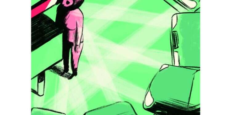 איור: מורן ברק איור: מורן ברק