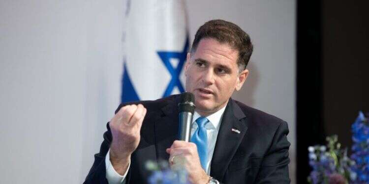 צילום: שריה דיאמנט