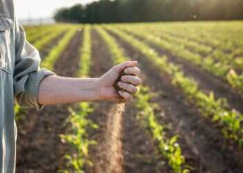 בצורת יובש אין גשם