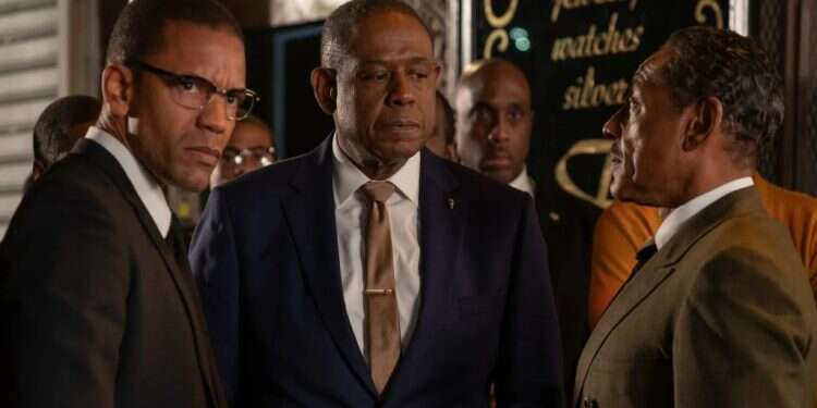 צילום: דיוויד לי- Epix