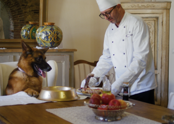 איך הגענו למצב בו כלב יורש מבעליו 150 מיליון דולר?