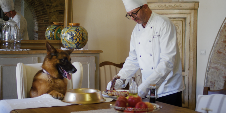 איך הגענו למצב בו כלב יורש מבעליו 150 מיליון דולר?