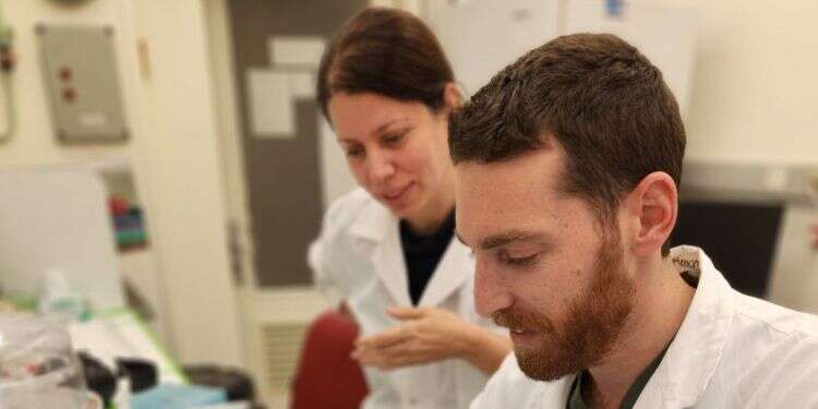 היכולת למקד תרופה באזור הגידול היא אחד האתגרים הגדולים ביותר ברפואה המודרנית. בני (מאחור) ופלוקסמן במעבדה. צילומים: benny’s lab פיתוח ישראלי: תרופה לסרטן שנשלחת ישירות לגידול, בעזרת מגנט