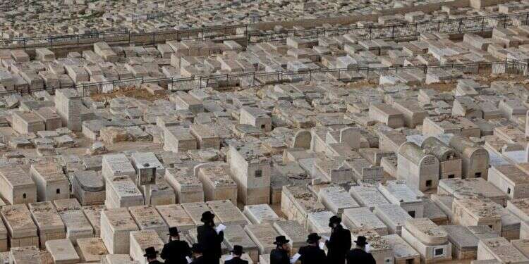 צילום: AFP כולם חשבו שהוא יהיה רב גדול, גם אני, אבל אז ראיתי את השד של הטירוף בין עיניו