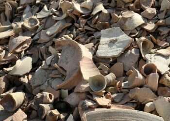 ארכיאולוגים חשפו פאב בן 5,000 שנה בעיראק