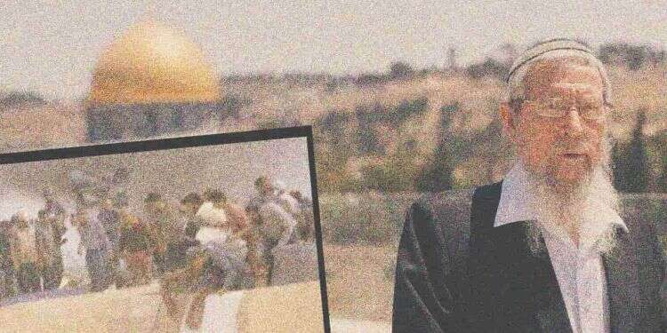 צילומים: טל-אור בני - לע