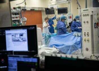 שיחות עם תורמי כליה ונשים פונדקאיות חושפת מה המוטיבציה המרכזית להענקת העזרה