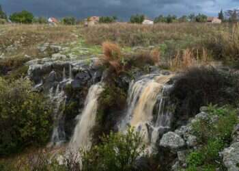 זרימות ליד קצרין, השבוע. צילום: מיכאל גלעדי, פלאש 90 זרימות קצרין 1.2.23
