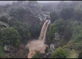 הגשם הגיע, והמפלים התעוררו לחיים: צפו בזרימות המרשימות בנחלי הצפון