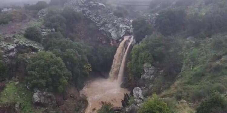 מפל סער זורם, חודש פברואר. צילום: עופר שנער רשות הטבע והגנים הגשם הגיע, והמפלים התעוררו לחיים: צפו בזרימות המרשימות בנחלי הצפון