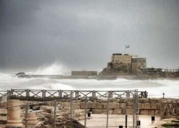 הגן הלאומי קיסריה במראה חורפי. צילום שרית פלצ'י-מיארה, רשות הטבע והגנים