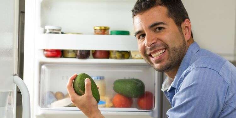 "תמיד כשהוא בא אלייך הוא רעב, וישר פותח את המקרר. אם הוא ריק הוא ילך, נכון?"