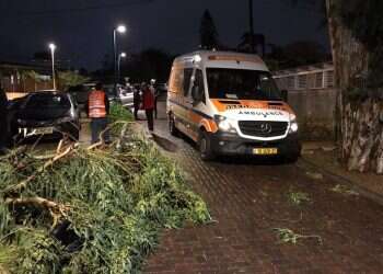 פצועים קשה מקריסות עצים ודודי חשמל מתעופפים – נזקי הסופה ברברה