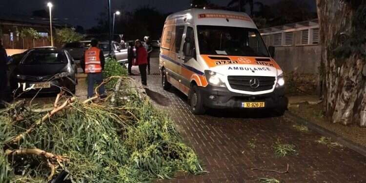 פצועים קשה מקריסות עצים ודודי חשמל מתעופפים – נזקי הסופה ברברה