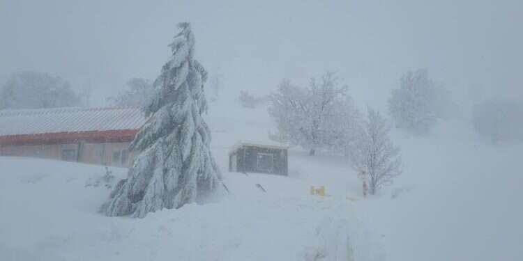 חרמון פברואר 2023