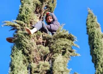 התנהלות הבעייתית בהריסת הכרם בשילה: אנשי המשטרה עיכבו ח"כית מעוצמה יהודית